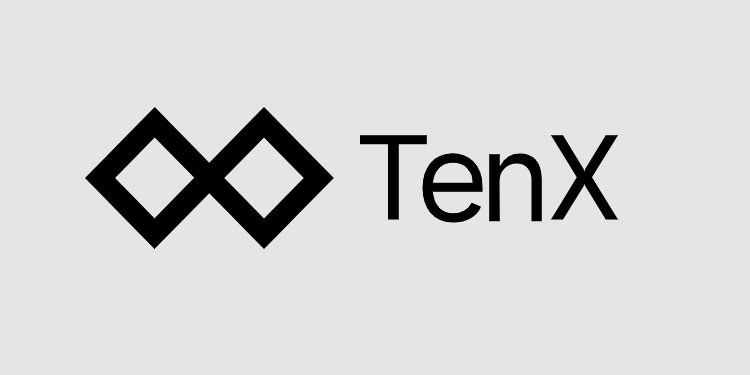 TenX Price Today - PAY Price Chart & Market Cap | CoinCodex