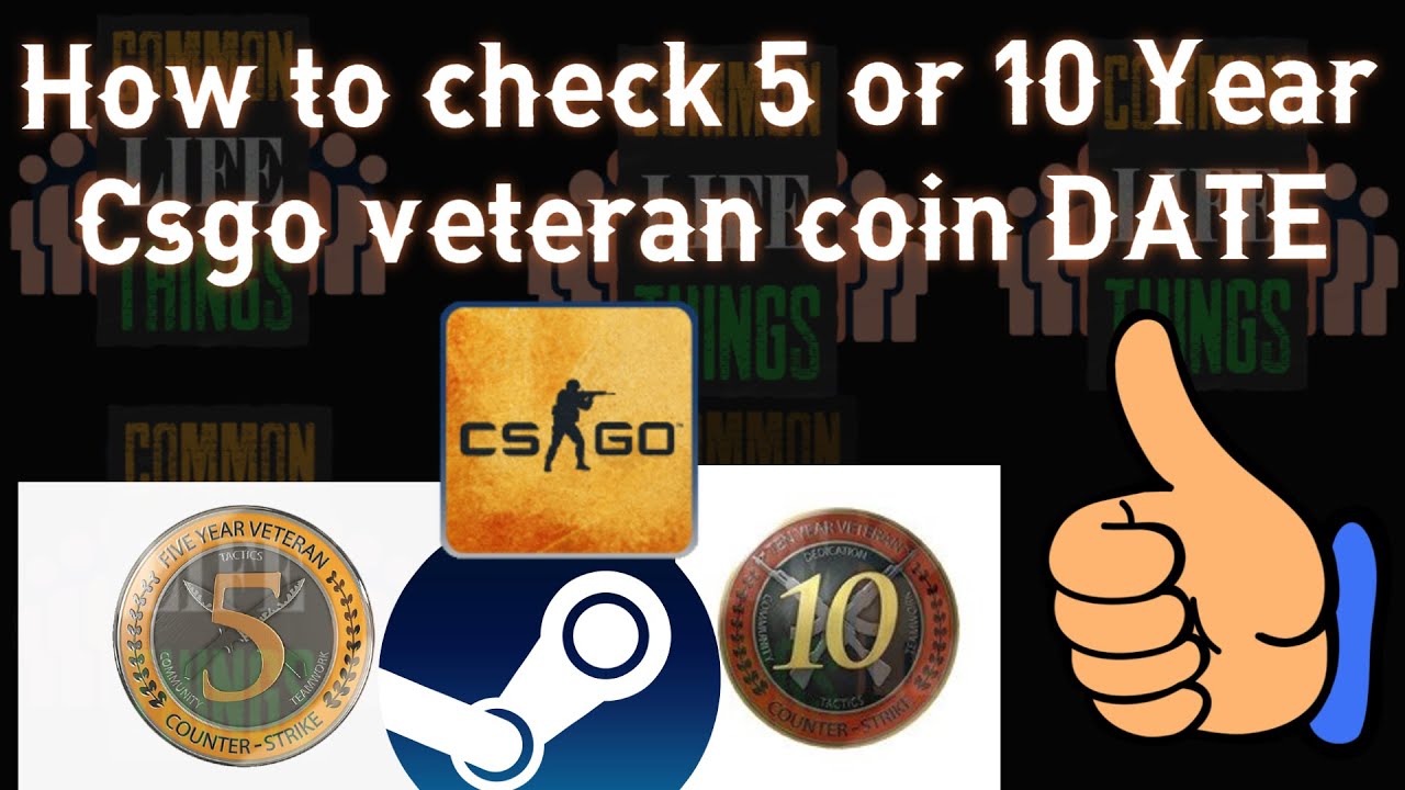 CSGO CS GO Counter Strike Design Five Year Veteran Vietnam | Ubuy