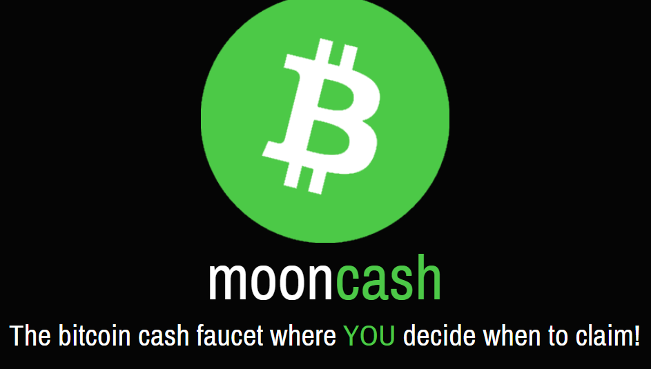 Bitcoin Cash To The Moon? BCH surges % - TheNewsCrypto