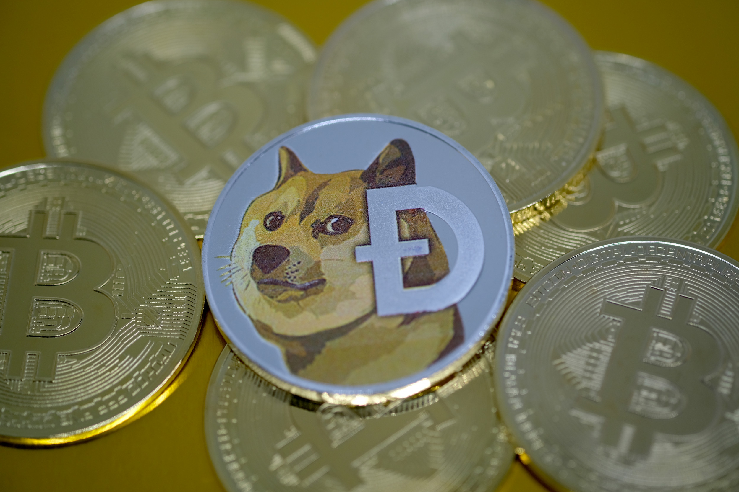 Should I Buy Dogecoin in ? Pros and Cons of Dogecoin Investment