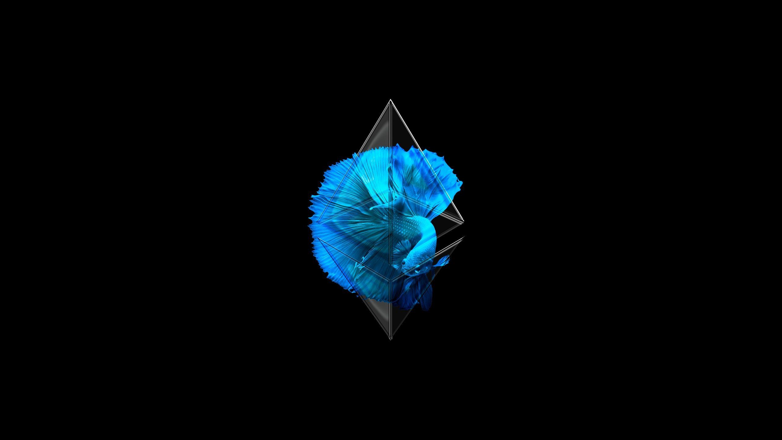 Ethereum 4K #f Wallpaper iPhone Phone