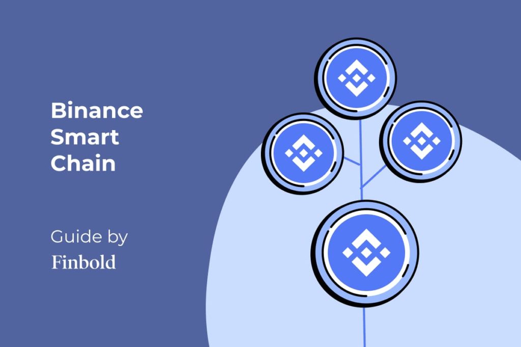 Binance Smart Chain: Everything you need to know - IONOS