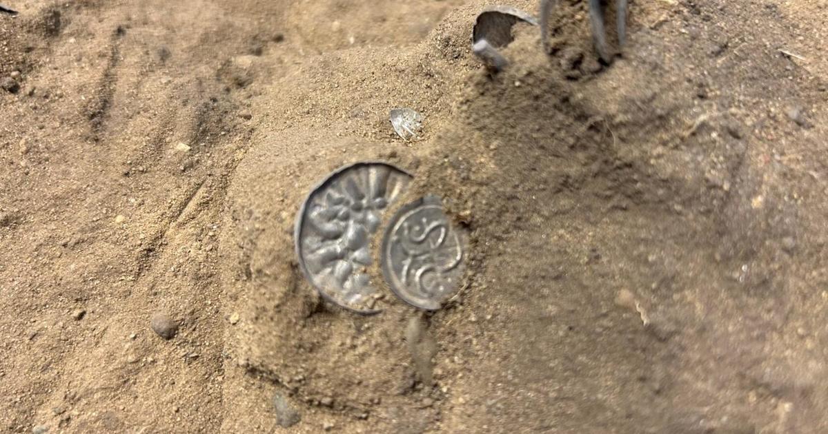 Men Discover Viking Treasure with Metal Detectors