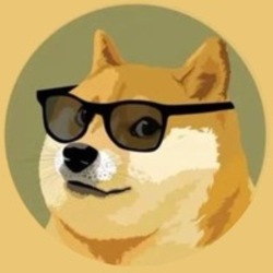 DOGE to USD Price today: Live rate Dogecoin in US Dollar