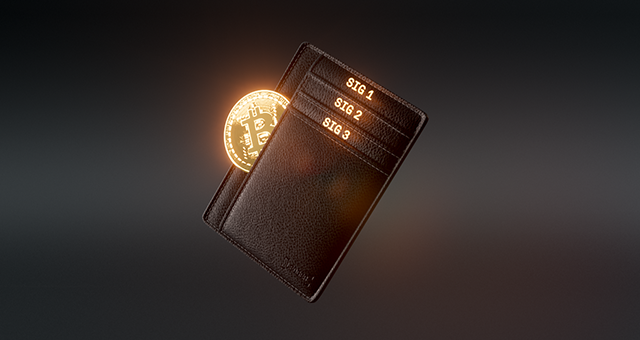 Bitcoin multisig wallet