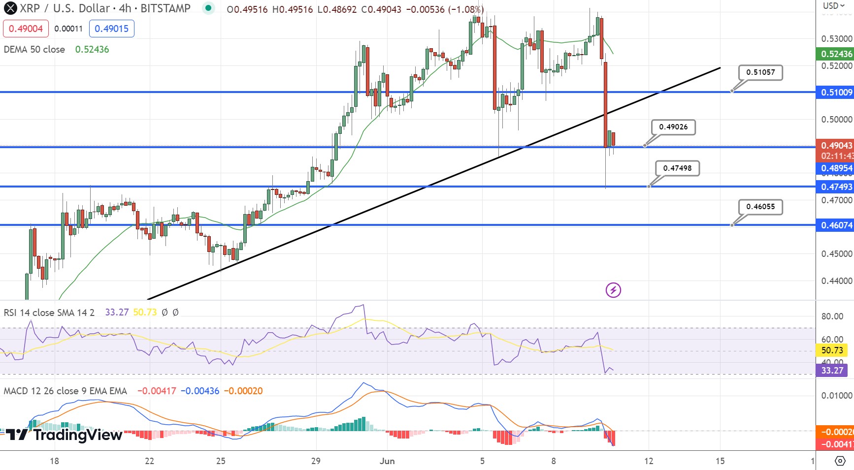 Ripple (XRP) Price Prediction: x3 ($) by the end of ?