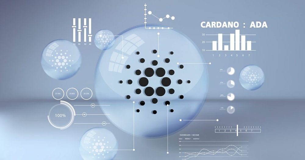 How Much Can I Earn by Staking Cardano? What Are the Best Platforms for Staking ADA? - ostrov-dety.ru