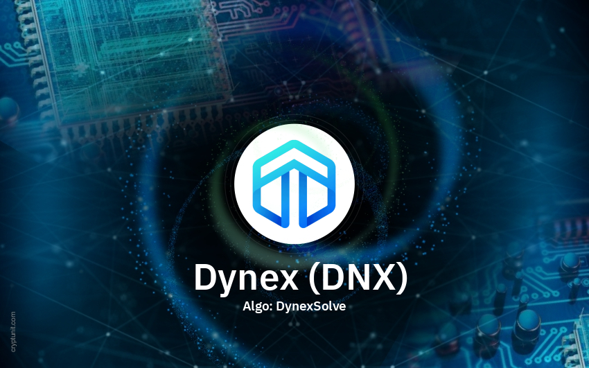 Dynex (DNX) Mining Pool MiningOcean