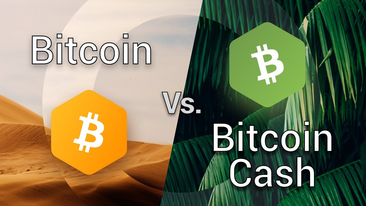 BTC vs. BCH vs. BSV: What Is The Difference? | Swaps app