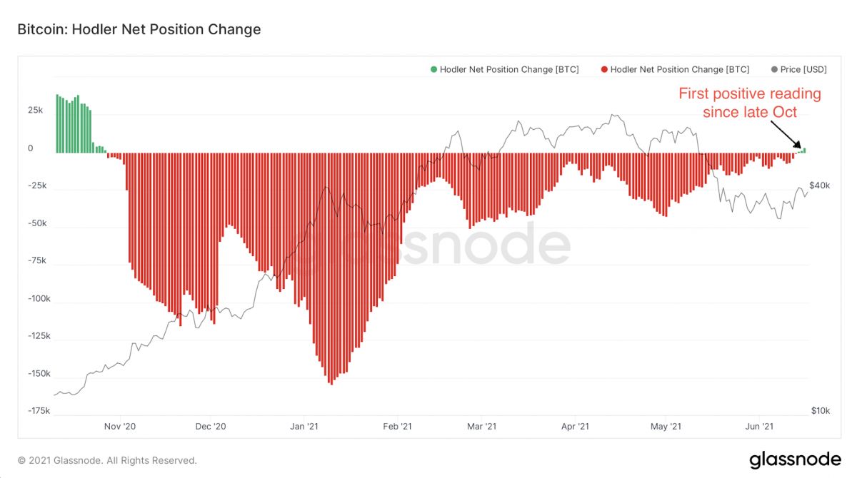 The Biggest BTC Whales: Who Owns the Most Bitcoin?