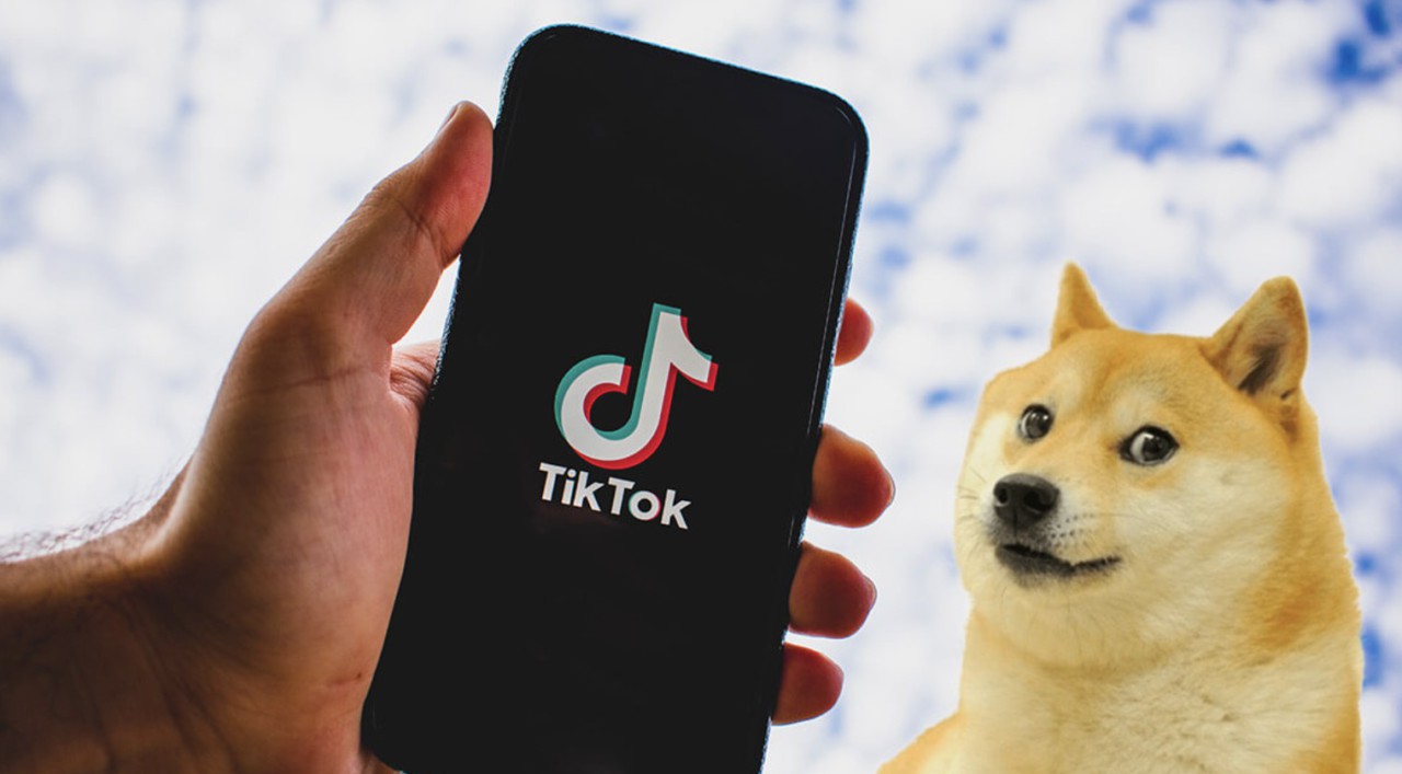 Dogecoin Official TikTok Music - iye - Listening To Music On TikTok Music