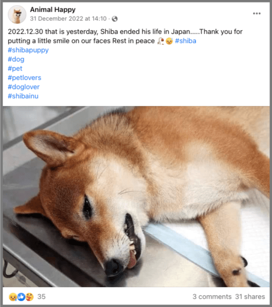 Dogecoin Creator Calls DOGE Dead Community