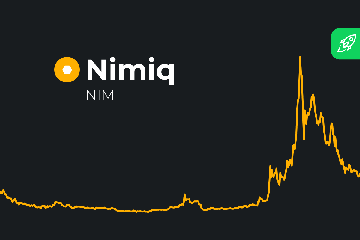 Nimiq Price Prediction , & - Is NIM a good Investment?