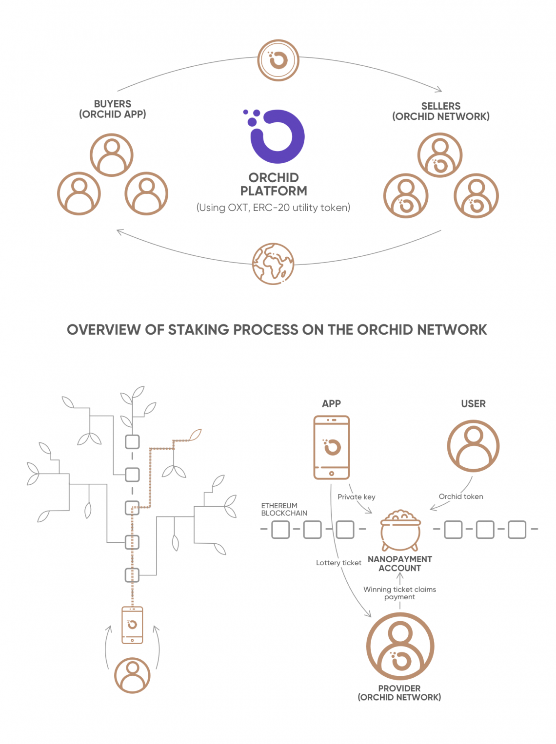 Orchid (OXT) price prediction is 0 USD. The price forecast is 0 USD for March 01, Saturday.