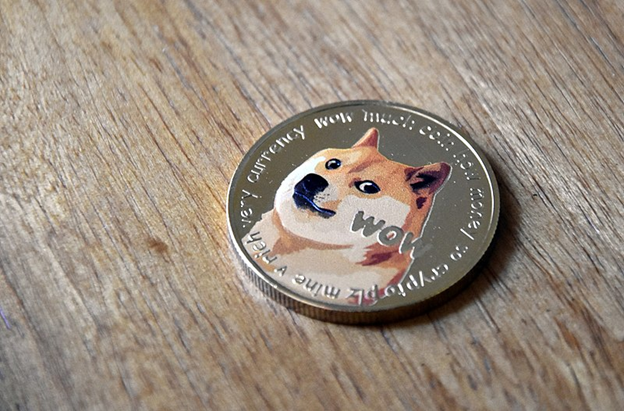 Doge (meme) - Wikipedia