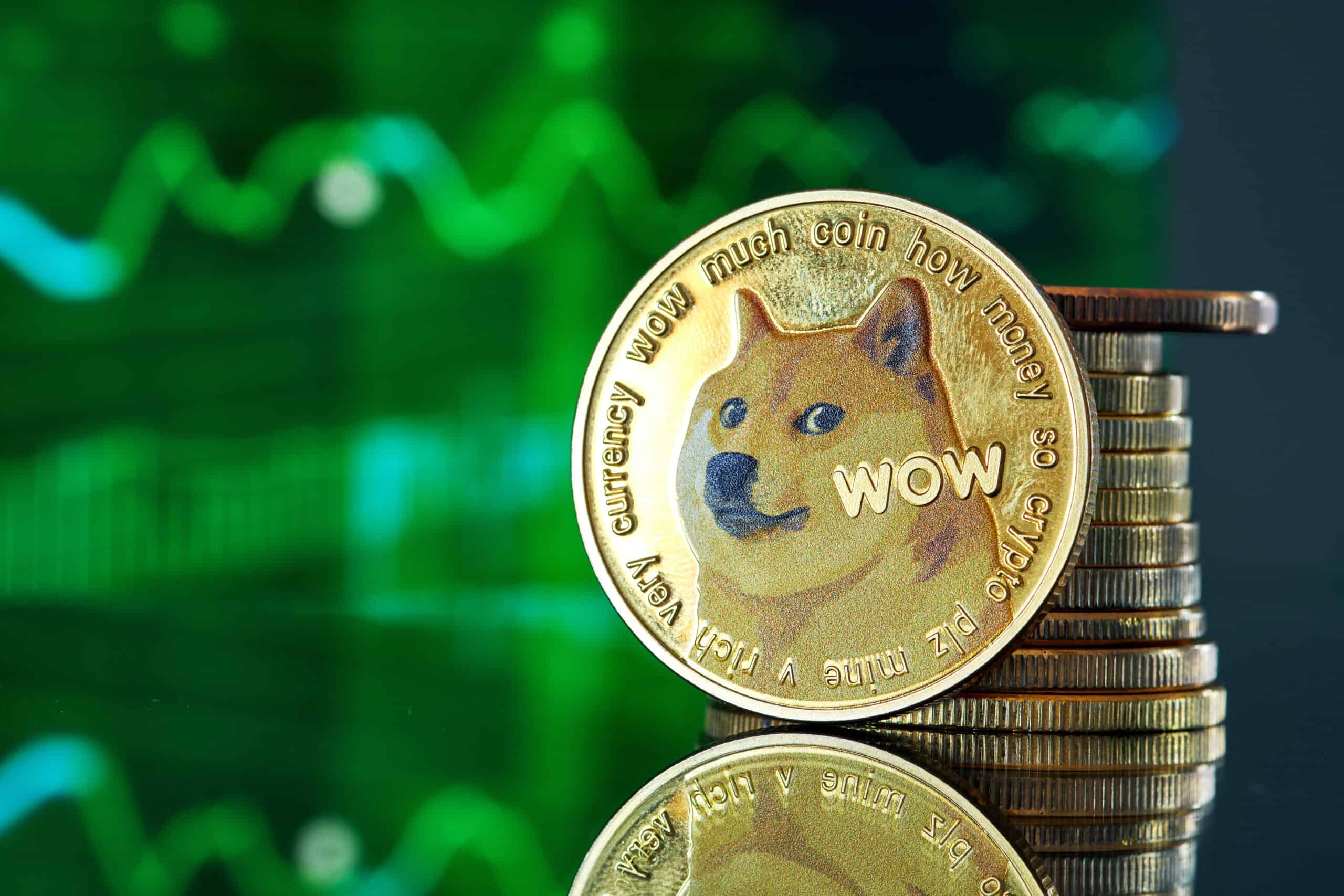 DOGECOIN to BCH Price today: Live rate RagingElonMarsCoin in Bitcoin Cash