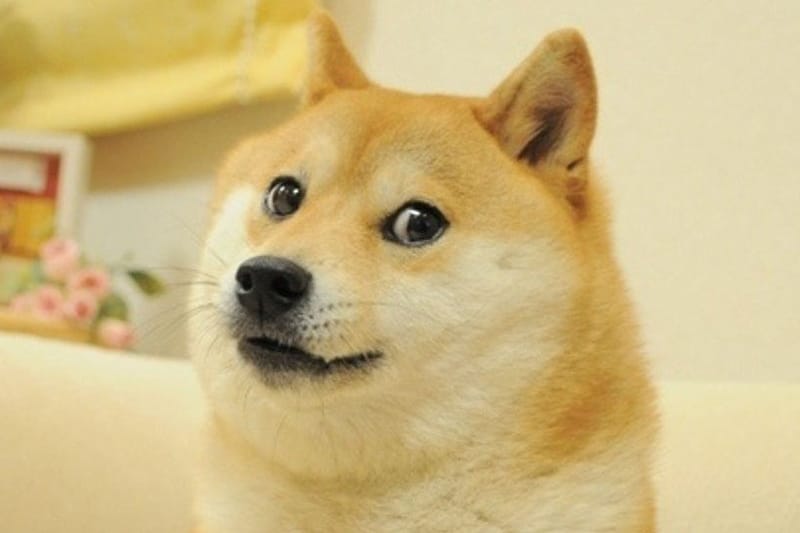 Dogecoin Cryptocurrency Soars Thanks to Reddit | Hypebae