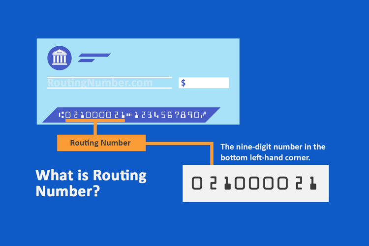 Routing Number vs. Account Number: What's the Difference?