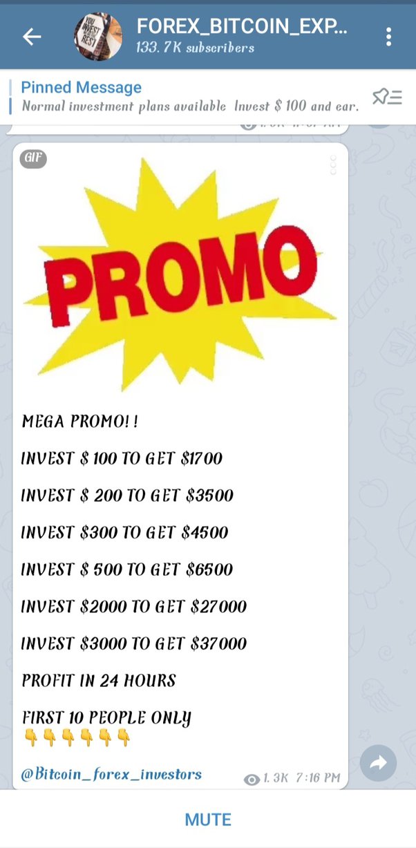 Telegram: Contact @WahedInvestCom