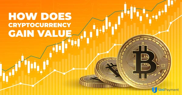 How does a cryptocurrency gain value? | CoinLedger