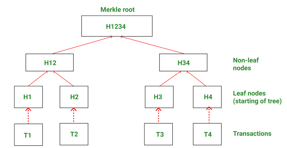 What Is a Merkle Root (Cryptocurrency)? How It Works in Blockchain