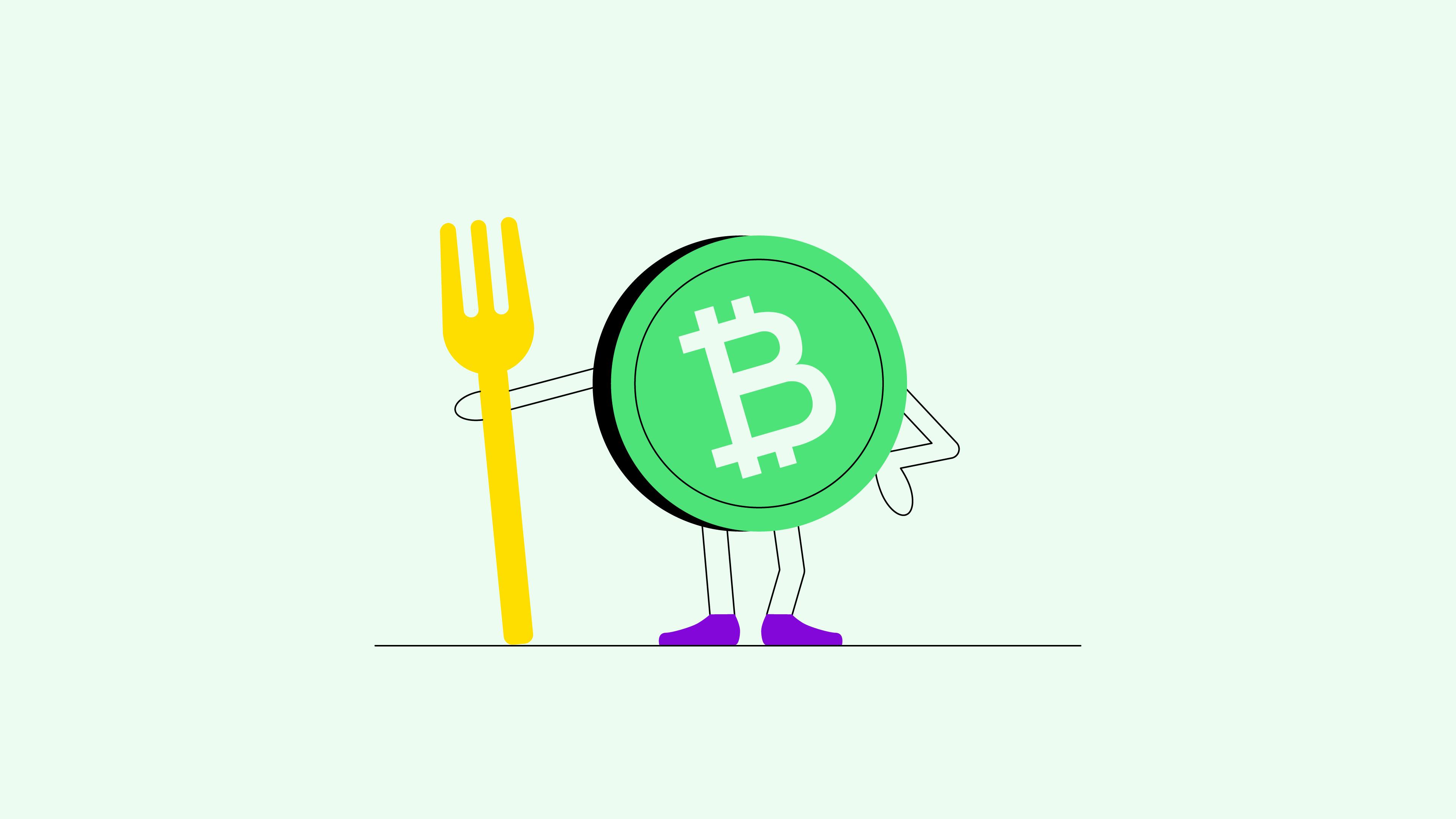 All About the Bitcoin Cash (BCH) Hard Fork