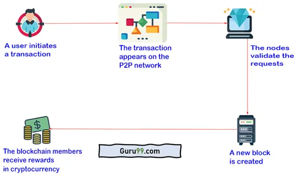 How to Create a Cryptocurrency Step by Step | Updated Guide 