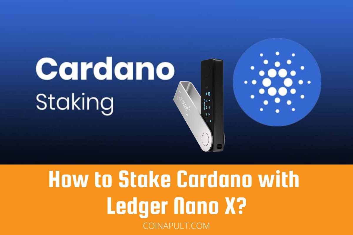 5 Best Cardano Hardware Wallets in | CoinCodex