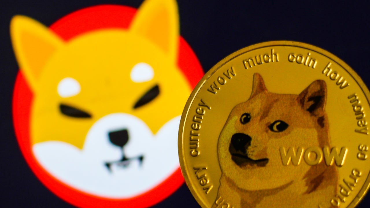 Explained: Can Shiba Inu overtake Dogecoin this year