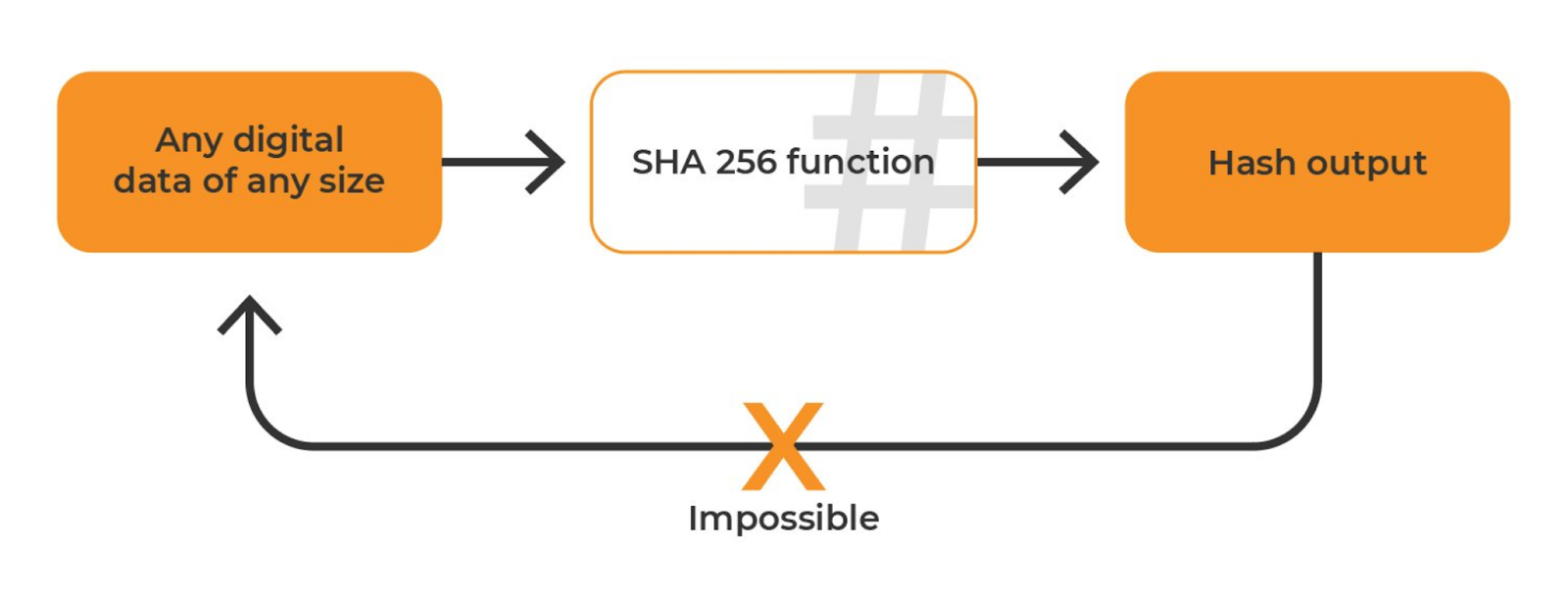 What Hashing Algorithm Does Bitcoin Use to Hash Blocks? - Crypto Head