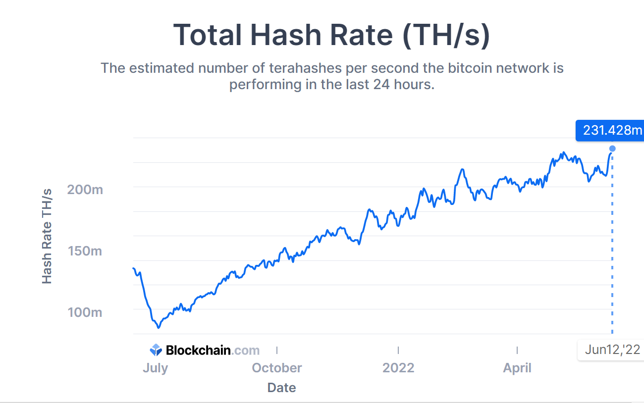 What's hashrate? | Robinhood