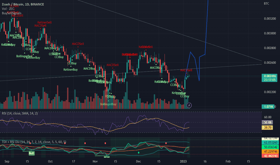 Technical Analysis of Zcash / Bitcoin (BINANCE:ZECBTC) — TradingView