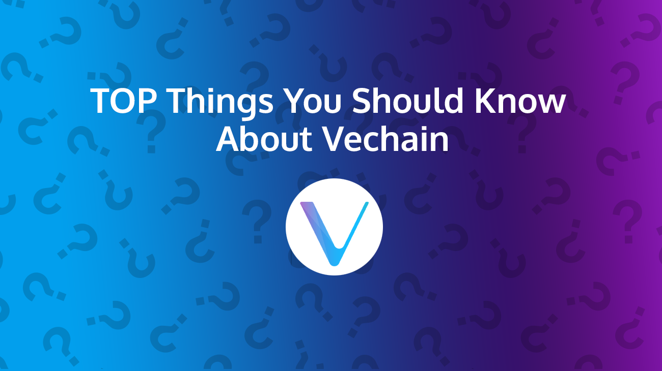 What is VeChain? Price, history, wallets [UPDATED Mar ]