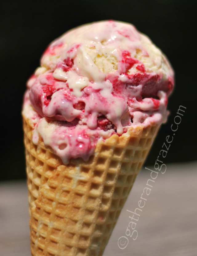 White Chocolate & Boysenberry Ripple Ice Cream | Shop Online | Maggie Beer