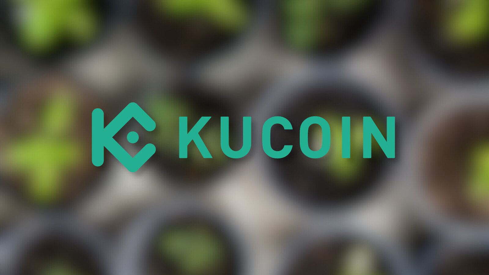 Binance vs Kucoin: Features, Fees & More ()