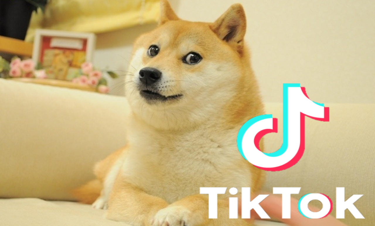 TikTok Challenge Leads to Massive Spike in DogeCoin Value - Popdust