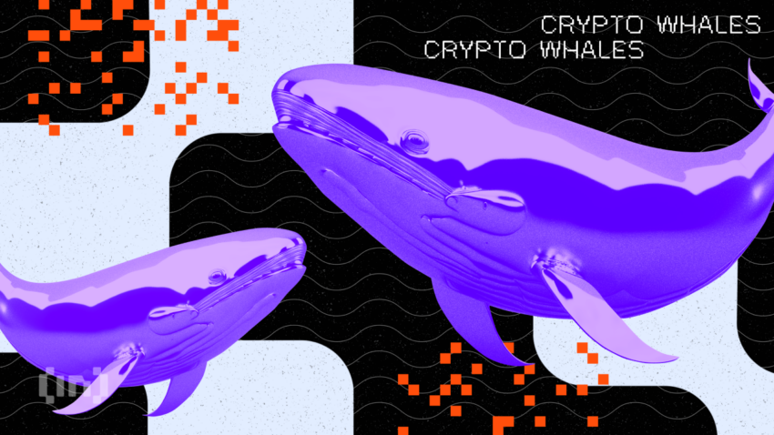 Crypto Whale Bot - Bitcoin & Crypto Currency Bot