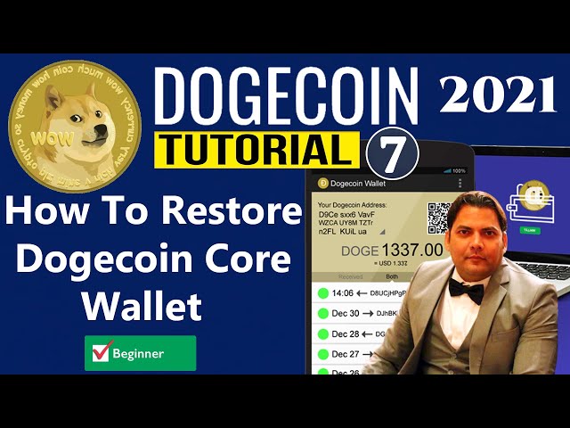 What Is the Best Dogecoin Wallet? 7 Crypto Storage Options to Try