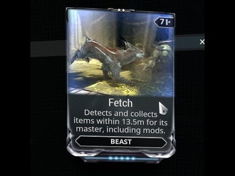 Is this riven good? And what would be its price? :: Warframe General Discussion