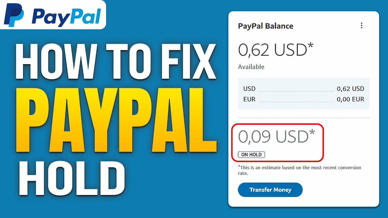 Why is the money I sent on hold? | PayPal US