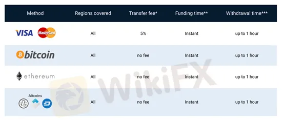 Is IQCent a Scam? Read This Brutally Honest Review