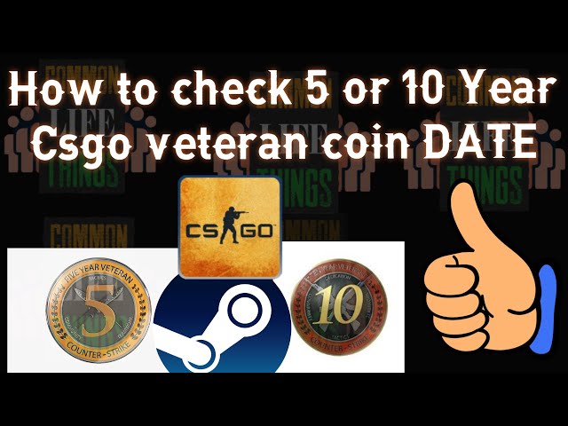 5 Year Veteran Coin Archives - Buy csgo rank