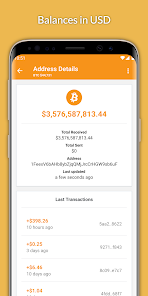 Bitcoin Wallet Checker | Check a Bitcoin Address and Trace Recent Transactions.