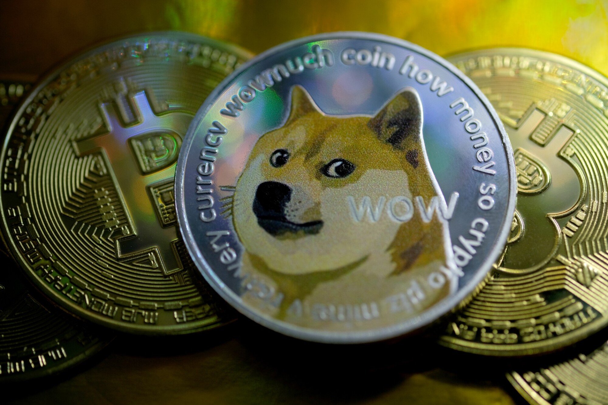 DOGE to INR - Find DOGECOIN Price in INR in India - Mudrex