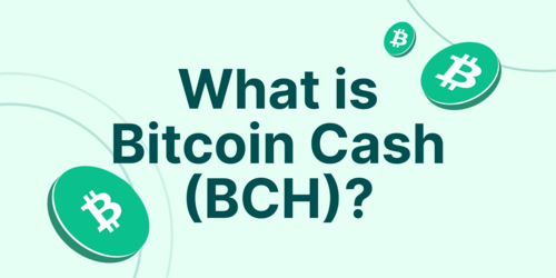 Bitcoin Cash Price History | BCH INR Historical Data, Chart & News (7th March ) - Gadgets 