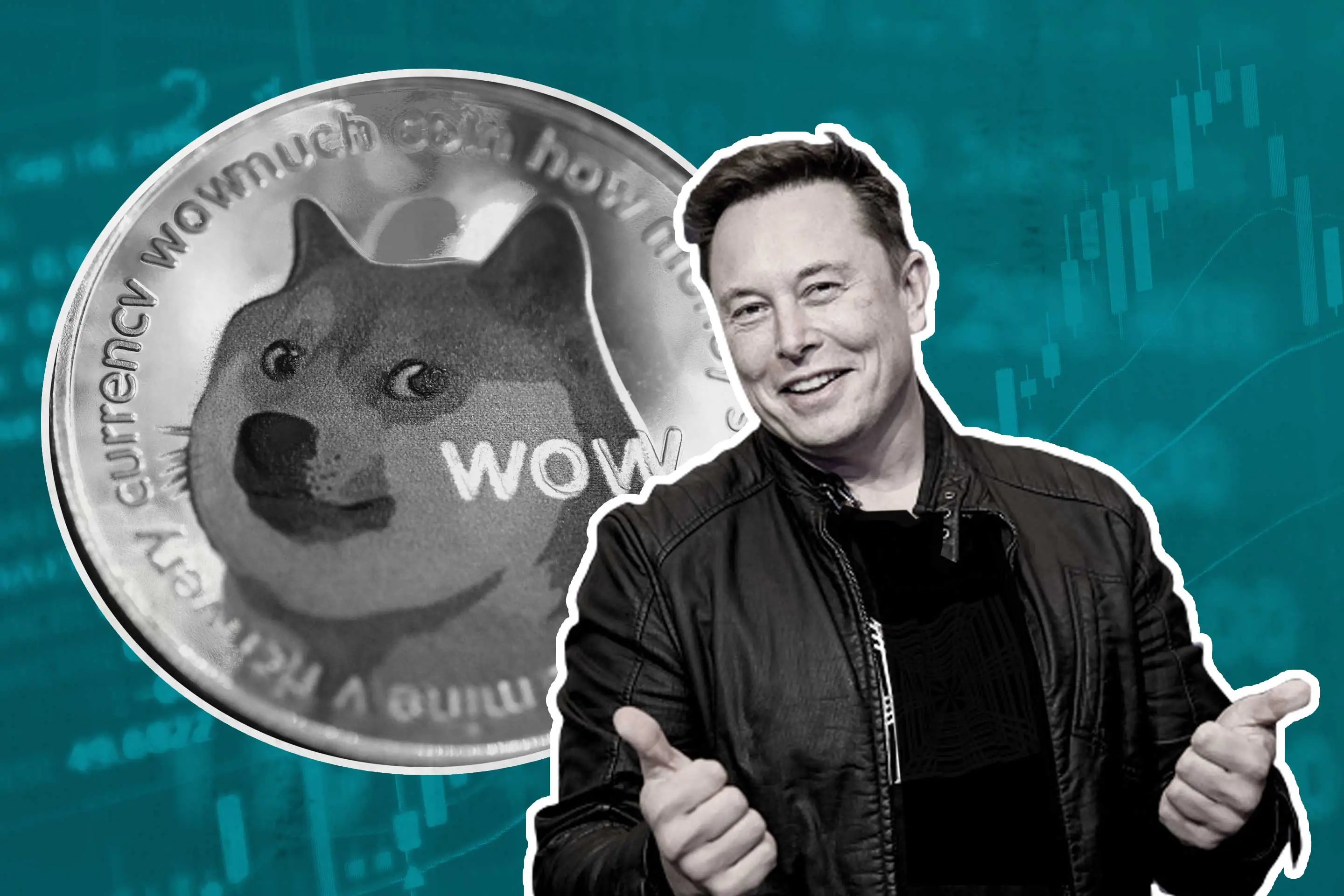 Elon Musk says he’s still buying dogecoin after 90% price crash | The Independent