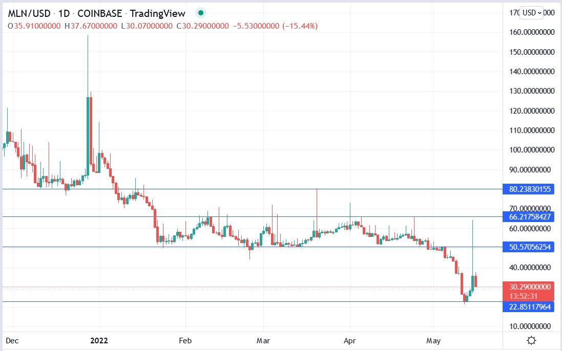 Melon Price Prediction: Has MLN Got a Future?