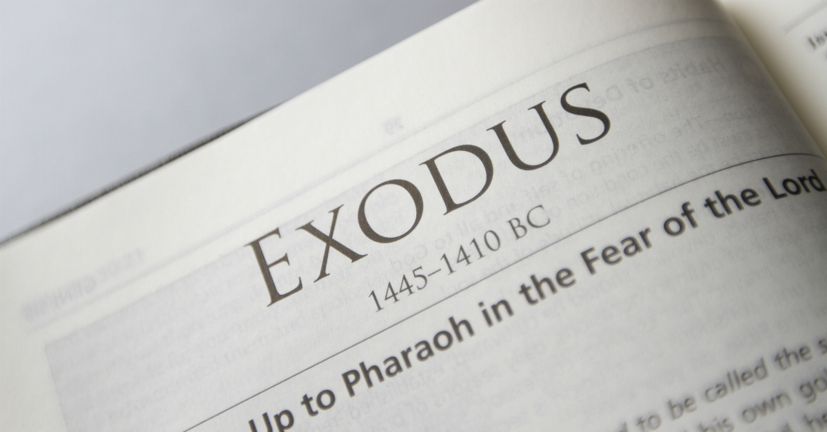 Exodus Meaning In Urdu and English Exodus Pronunciation