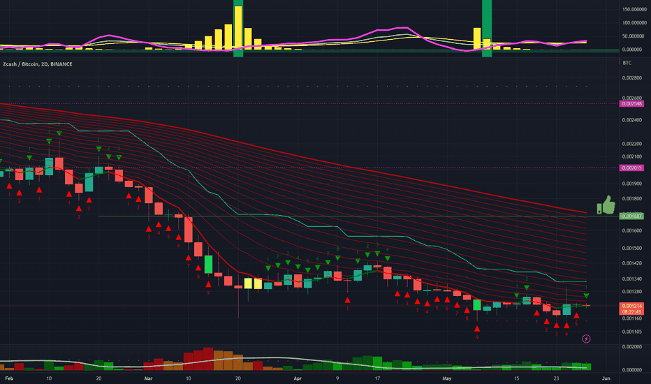 Zec — TradingView — India