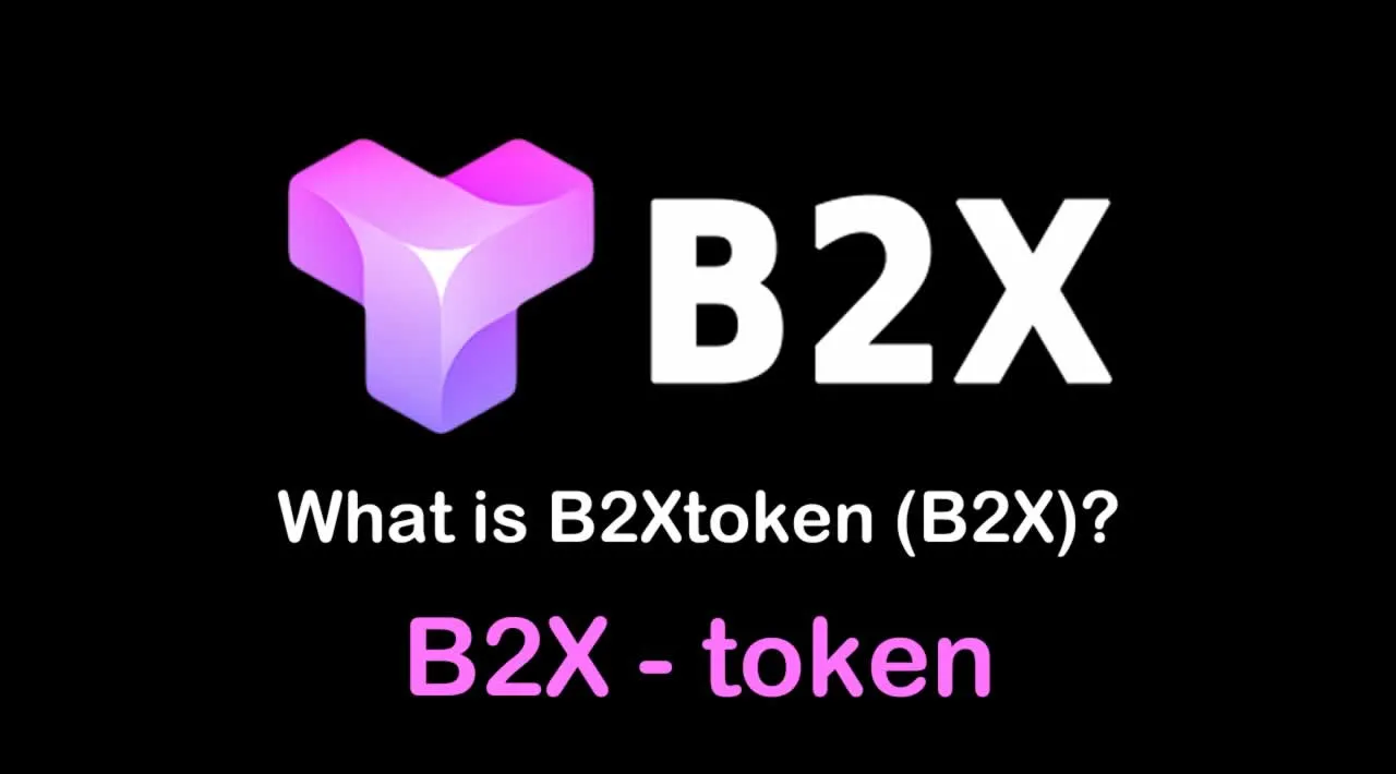 B2X (B2X) live coin price, charts, markets & liquidity